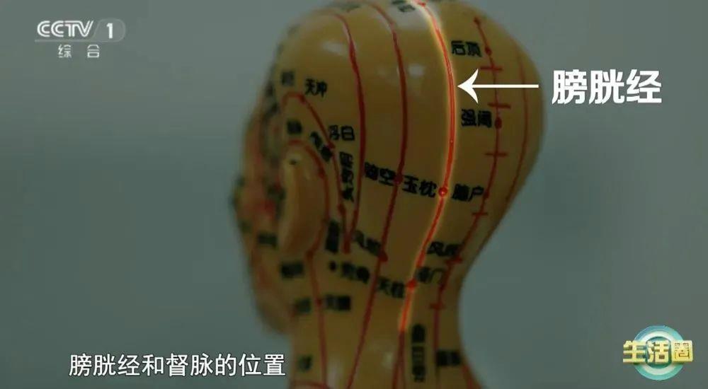 健康问题 护发与健康小贴士快收藏新葡京娱