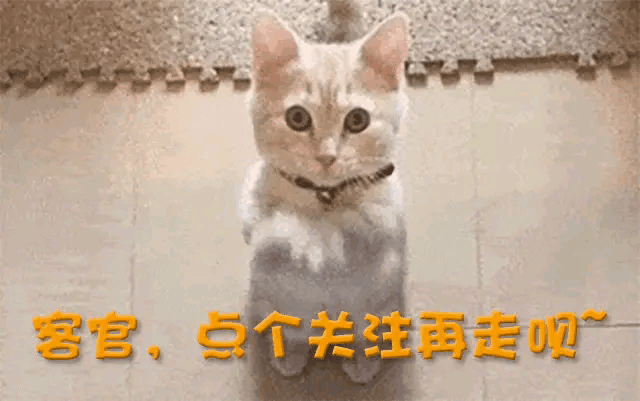 今独自抚养孩子的曹曦文活成人生赢家澳门新